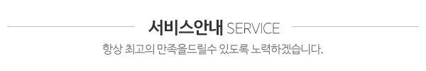 안양평촌자동차외형복원_작업사진