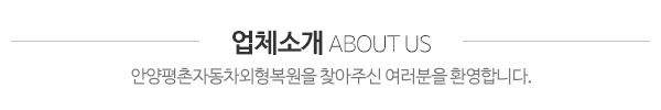안양평촌자동차외형복원_제목
