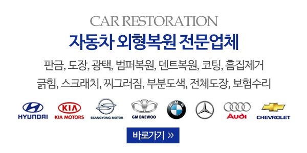 안양평촌자동차외형복원_더샤인소개_내용